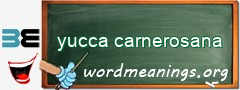 WordMeaning blackboard for yucca carnerosana